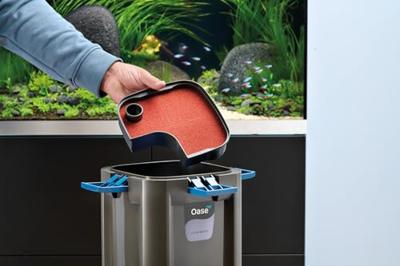 BioMaster2 250 Oase - Oase BioMaster2 250 Oase - Oase