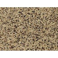 Premium kanarie 4kg Deli nature - Deli nature - thumbnail