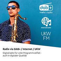 TechniSat DIGITRADIO 370 CD IR Radio DAB+, DAB, VHF (FM), Internet WiFi, Bluetooth, CD, USB, Internetradio Incl. afstandsbediening Zwart - thumbnail