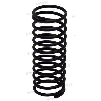 PAT40-10020004 - LENTE Parsun