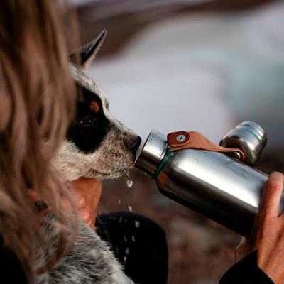 Black+Blum Geïsoleerde Waterfles - 0,5 liter - Oceaan Black+Blum Geïsoleerde Waterfles - 0,5 liter - Oceaan