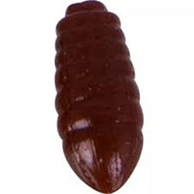 MS Range Casters Dark Brown