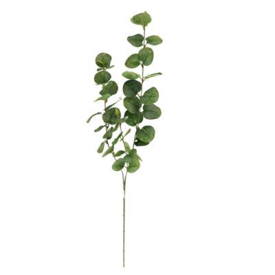 Kunsttak eucalyptus lichtgroen 75 cm | 24 stuks