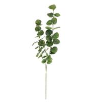 Kunsttak eucalyptus lichtgroen 75 cm | 24 stuks - thumbnail