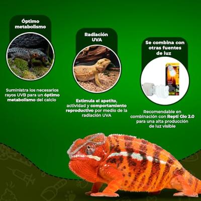 UVB compacte fluorescentielamp voor terrarium - EXO TERRA - Reptiel UVB 100 - Tropisch en subtropisch klimaat 26W UVB compacte fluorescentielamp voor terrarium - EXO TERRA - Reptiel UVB 100 - Tropisch en subtropisch klimaat 26W