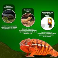 UVB compacte fluorescentielamp voor terrarium - EXO TERRA - Reptiel UVB 100 - Tropisch en subtropisch klimaat 26W - thumbnail