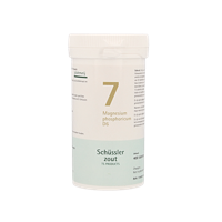 Pfluger Celzout 07 Magnesium Phosphoricum D6 Tabletten - thumbnail