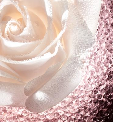 Christian Dior - Dior Prestige Le Micro-Caviar De Rose Cream 75 ml Nacht crème