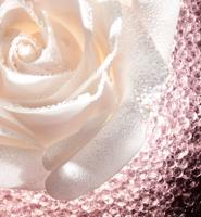 Christian Dior - Dior Prestige Le Micro-Caviar De Rose Cream 75 ml Nacht crème - thumbnail