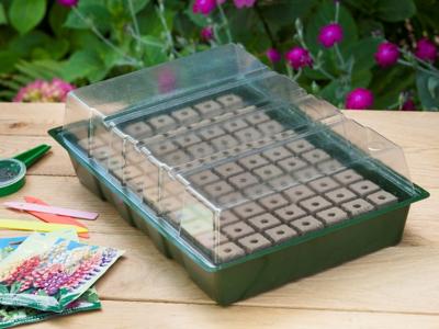 Kweekbakset met groeimedium 77 vaks