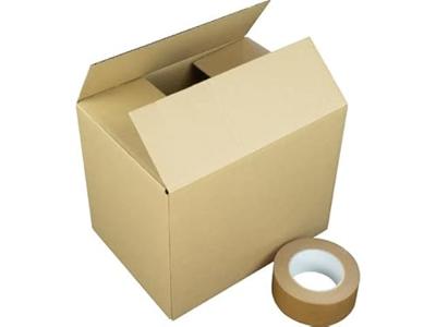 Raadhuis RD-351127-10 Verzenddoos 305x220x250mm 10 Stuks