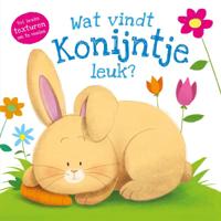 Rebo Publishers Voelboek - wat vindt konijntje leuk? - thumbnail