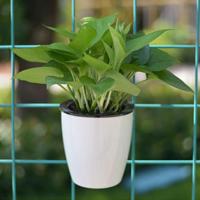 Lui bloempotten automatische water-absorberende groene radijs vlees pillen Hydroponics muur-Hung circulaire hars kunststof bloempotten grootte: 11 * - thumbnail