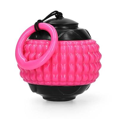 Dog Comets Blazar Jet Roze Dog Comets Blazar Jet Roze