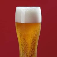 HKoeNIG BW1688 biertap - 6L - thumbnail