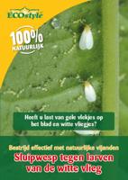 Ecostyle Sluipwesp tegen larven witte vlieg 10 m² - thumbnail