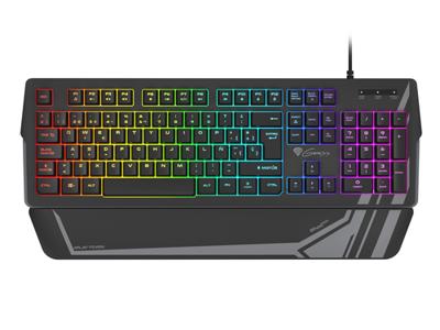 Gaming Keyboard Genesis NKG-1729 Qwerty Spaans