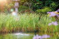 Oase Aquarius Fountain Set Classic 1000 - Complete Fonteinpomp met Verstelbare Sproeikoppen - thumbnail