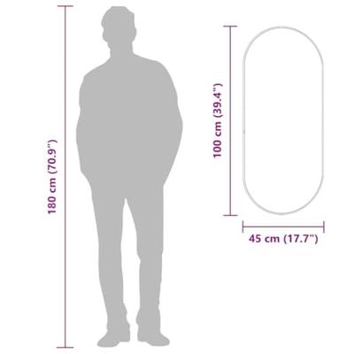 VidaXL Wandspiegel 100x45 cm ovaal zilverkleurig VidaXL Wandspiegel 100x45 cm ovaal zilverkleurig