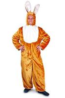 Konijn-Haas dierenpak met hangoren - thumbnail