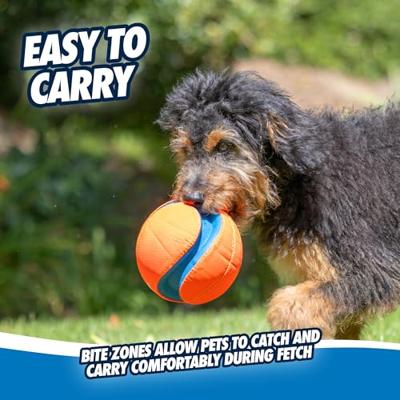 Chuckit! Kick Fetch Dog L