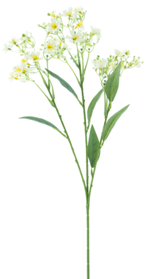 Daphne spray Elena cream 72cm