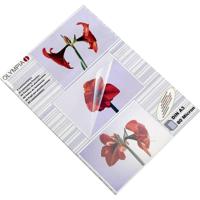 Olympia Lamineerfolie DIN A3 80 micron 50 stuk(s) - thumbnail