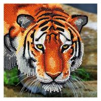 Craft Buddy Crystal Art Kaart Tijger 18x18 cm - thumbnail