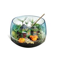 Terrarium Harry Potter - 19248 - Clementoni - thumbnail