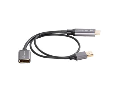 Adapter DisplayPort naar HDMI Lanberg AD-HD-DP-02
