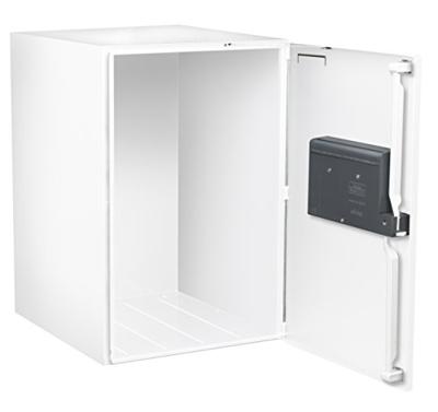 Pakketbus Burg-Wächter eBoxx E