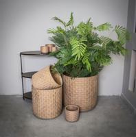 PTMD Pot Xenna goud cement palm patroon M 17 X 17 X 16 - thumbnail