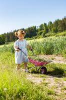 Rolly Toys Kruiwagen Roze - thumbnail