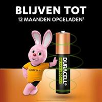 Oplaadbare Batterijen DURACELL DURHR03B4-850STCX5 1,2 V AAA (4 Stuks) - thumbnail
