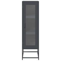 Hoge kast 36x39x123 cm koudgewalst staal antracietkleurig - thumbnail
