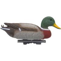 Wilde eend (woerd) - thumbnail