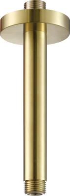 Ben Round douche-arm 15cm geborsteld messing pvd