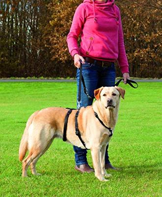 TRIXIE HONDENTUIG STAY ZWART 30-40X1 CM - thumbnail