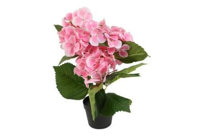 Decostar Hydrangea macrophylla plant 37 cm roze