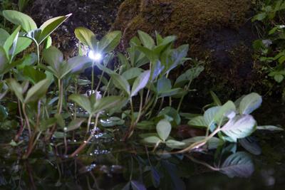 Heissner Spot 3W RGB metaal Heissner Spot 3W RGB metaal