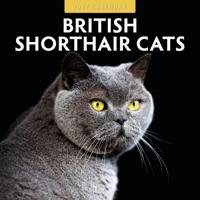 Brits Korthaar Kalender 2027 - thumbnail