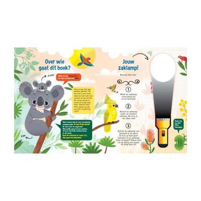 Speuren naar koala's (Hardback)