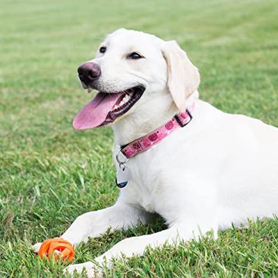 CHUCKIT BREATHE RIGHT FETCH BAL ORANJE 7 CM - thumbnail