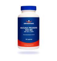 Mucuna pruriens 500mg 120 Capsules - thumbnail