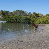 Waboba Woofpack - thumbnail