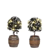 Luville General Buxus tree in a barrel 2 pieces - thumbnail