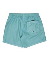 Quicksilver Everyday Surfwash Volley 15" Zwembroek - thumbnail