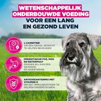 Eukanuba Senior Hondenvoer met verse kip voor kleine rassen, premium droogvoer voor oudere honden, 3 kg - thumbnail