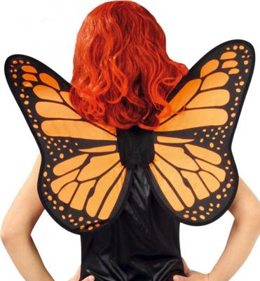 Butterfly vleugels 57x50 cm