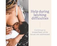 Inclusief borstopzetstukjes x 2 + beschermhoesje LANSINOH wit - thumbnail